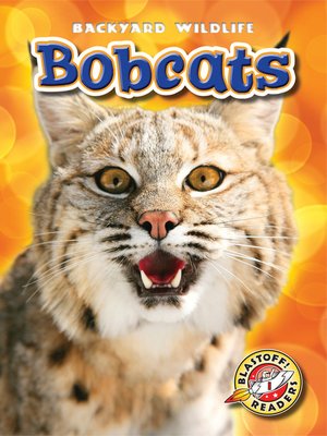 cover image of Bobcats